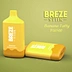 breze stiik